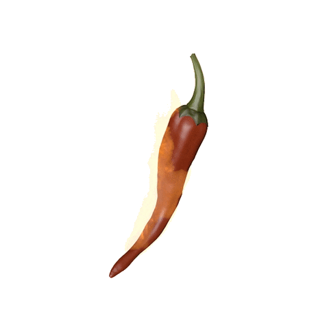 Chatu's Food Logo